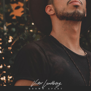 久久99精品久久久久婷婷
