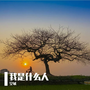 久久99精品久久久久婷婷
