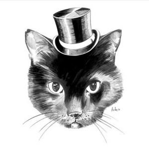 久久99精品久久久久婷婷
