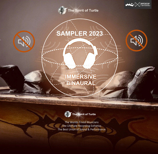 久久99精品久久久久婷婷
